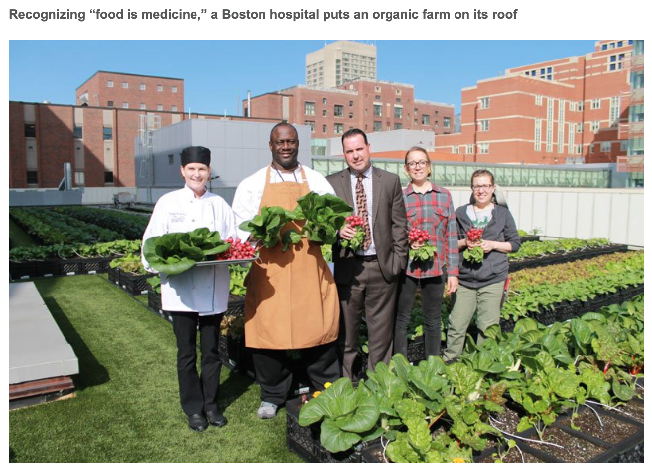 A review of the week’s plant-based nutrition news 26th January 2020