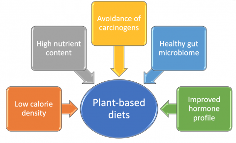 How does diet and lifestyle drive chronic disease? | Plant Based Health ...