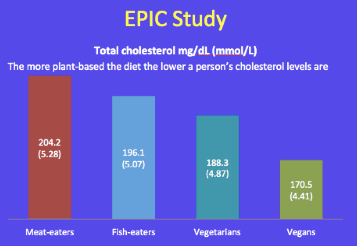 A review of the week’s plant-based nutrition news 8th December 2019
