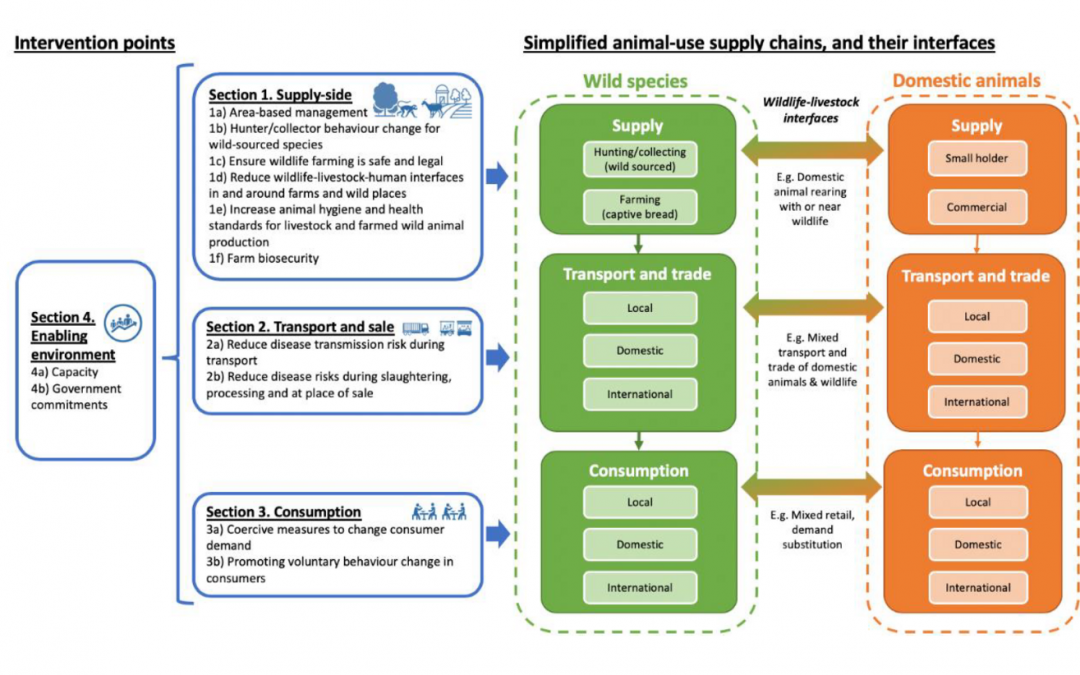 A review of the week’s plant-based nutrition news 5th July 2020