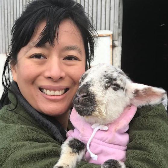 MAD Ideas team - website development, marketing & design