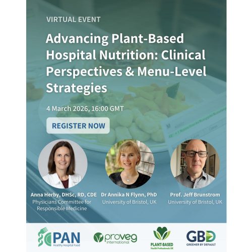 Global Healthy Hospital Network online event