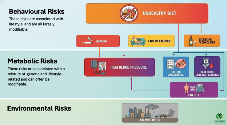 Cardiovascular disease risk factors