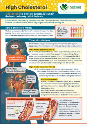 High Cholesterol Factsheet
