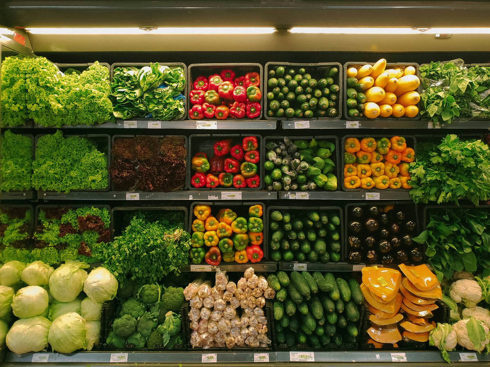 Government needs to act urgently to protect UK food security in a changing world