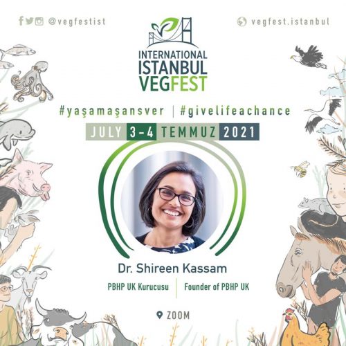 Istanbul Vegfest 2021
