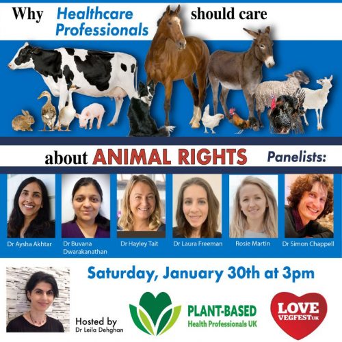 Livestream at Vegfest UK online