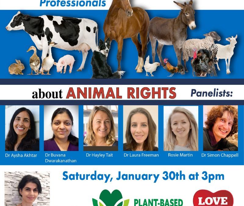 Livestream at Vegfest UK online