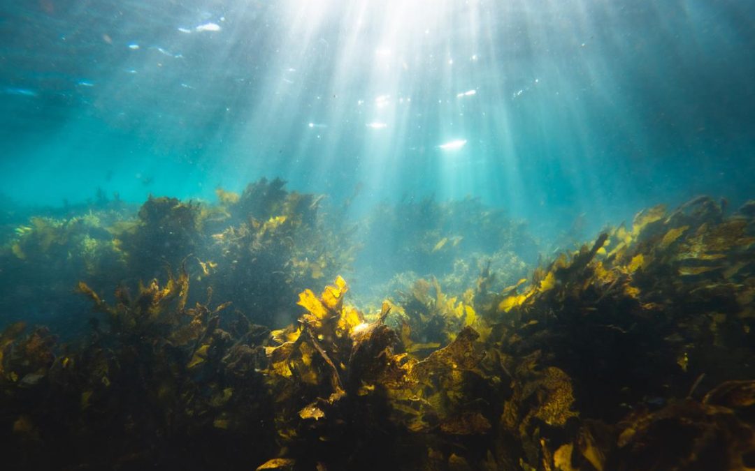 Iodine for babies and children: how much do they need?